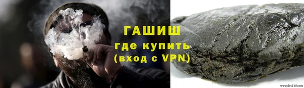 шишки Магас