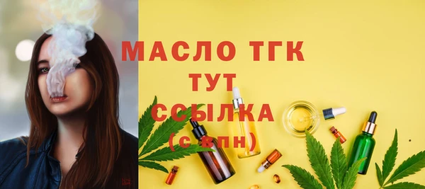 шишки Магас
