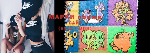 шишки Магас