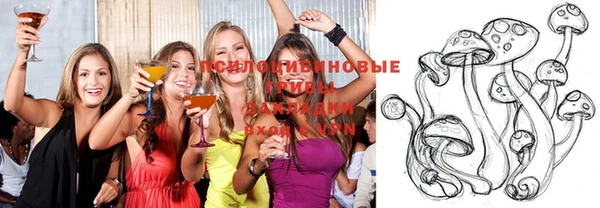 ешки Чердынь